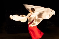 Ripa-magic-dance