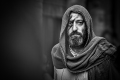 Templaria-hood