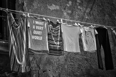 quiet-world
